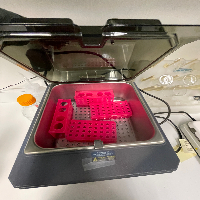 Fisher Scientific Isotemp Water Bath image 2